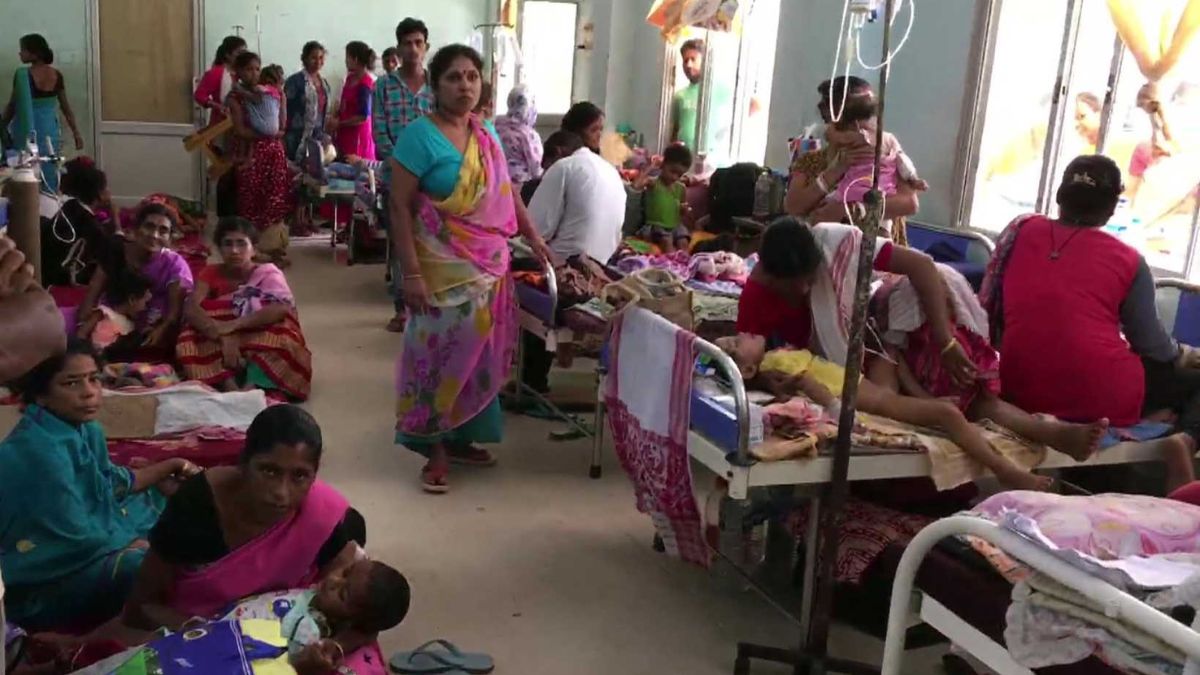 Chandipura Virus Threat: Four Children Die In Gujarat From Suspected Encephalitic Infection - Jagran English